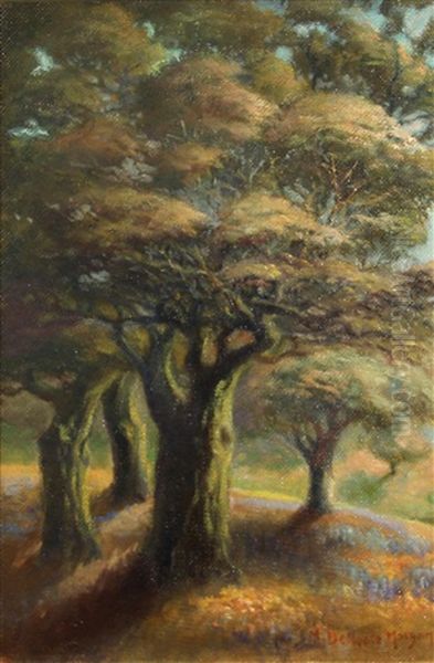 California Trees Oil Painting by Mary Deneale Morgan