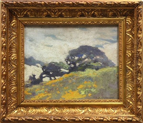 Near Moss Beach Oil Painting by Mary Deneale Morgan