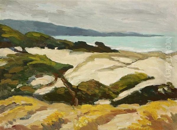 Carmel Coastal Oil Painting by Mary Deneale Morgan