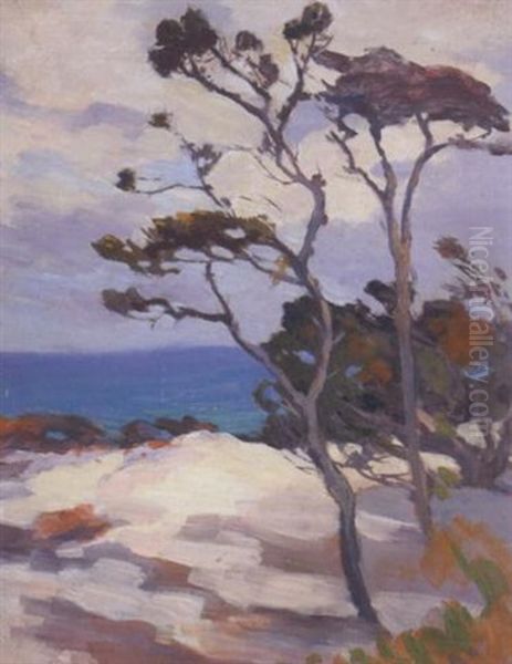 Gray Day, Sand Dune (no.50) Oil Painting by Mary Deneale Morgan