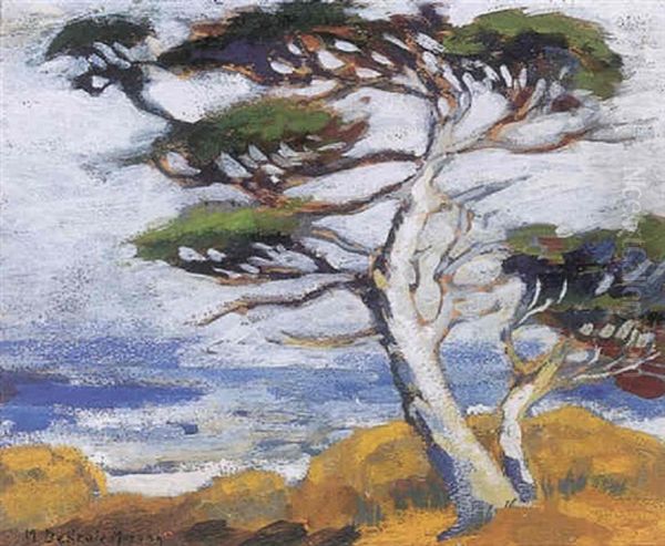 Monterey Cypress Oil Painting by Mary Deneale Morgan