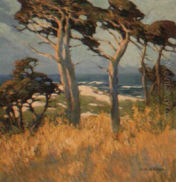 Near Point Lobos Oil Painting by Mary Deneale Morgan