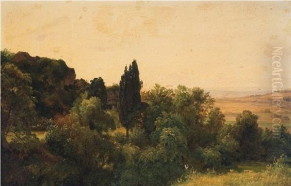 Woods And Distant Fields Oil Painting by Carl Morgenstern