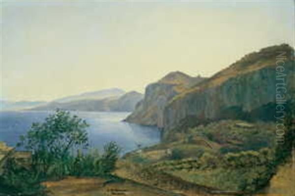 An Der Kuste Der Insel Capri Oil Painting by Carl Morgenstern