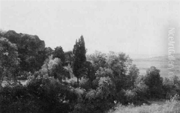 Landscape With Trees Overlooking The Field Oil Painting by Carl Morgenstern