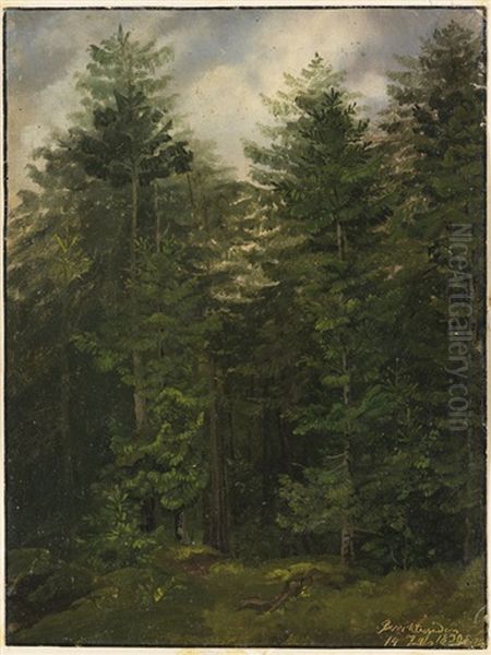 Tannenwald Bei Berchtesgaden Oil Painting by Christian Ernst Bernhard Morgenstern