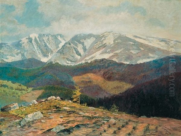 Mountain View Oil Painting by Carl Ernst Morgernstern