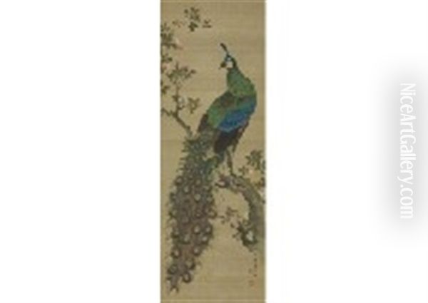 Peacock Oil Painting by Shuho Mori