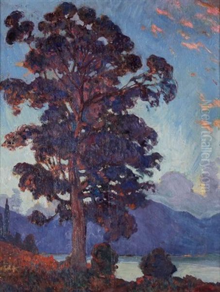 Eucalyptus En Baie D'ajaccio Oil Painting by Raymond Moritz