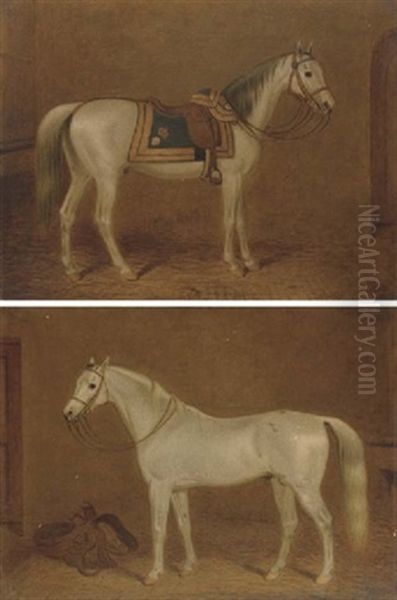 A Grey Hunter In A Stable (+ A Grey Saddled Hunter In A Stable; 2 Works) Oil Painting by George Morley