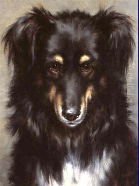 A Head Study Of A Black And Tan Collie Oil Painting by Robert Morley