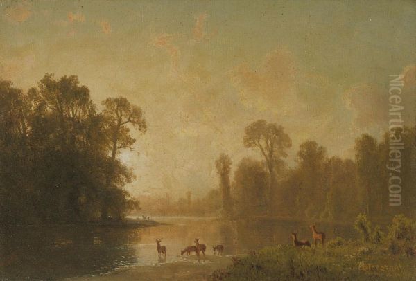 Twilight With Deer Oil Painting by Albert Bierstadt