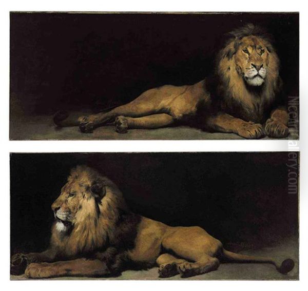 Reclining Lions (pair) Oil Painting by Aime Nicolas Morot