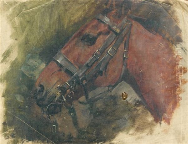 Tete De Cheval Au Harnais Oil Painting by Aime Nicolas Morot