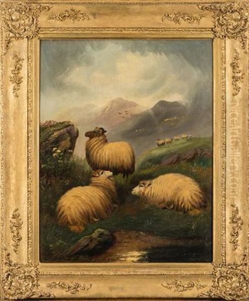 Sheep In The Highlands Oil Painting by John W. Morris