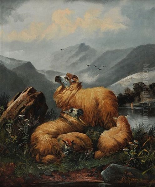 Guarding The Sheep Oil Painting by John W. Morris