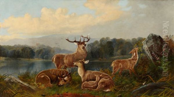 Deer In Landscape Oil Painting by John W. Morris