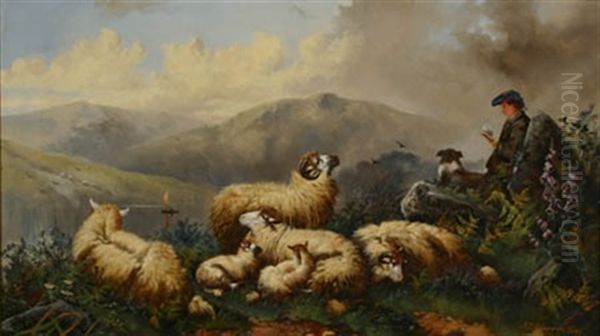 Shepherd With Highland Sheep by John W. Morris