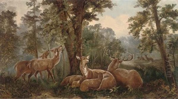 Stags And Deer In A Wooded Landscape Oil Painting by John W. Morris