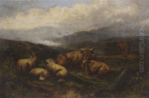 Highland Cattle And Sheep At Rest Oil Painting by John W. Morris