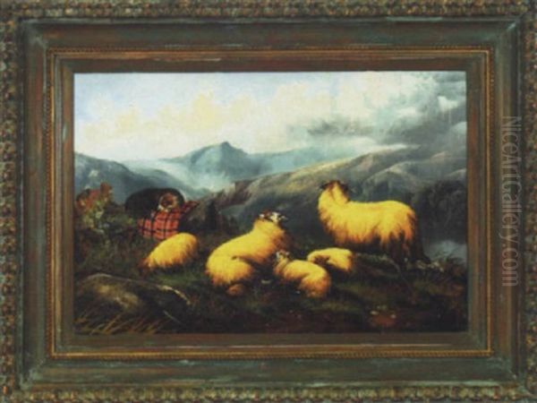 Highland Sheep With Dog by John W. Morris