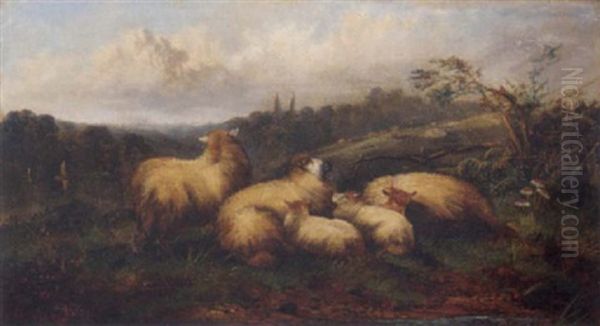 Sheep Resting By A River Oil Painting by John W. Morris