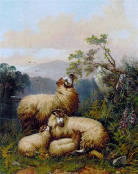 Sheep Resting In A River Landscape Oil Painting by John W. Morris