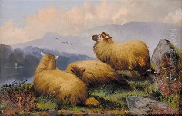 Sheep Resting In A Highland Landscape Oil Painting by John W. Morris