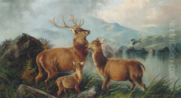 Stags Before A Loch In A Highland Landscape Oil Painting by John W. Morris