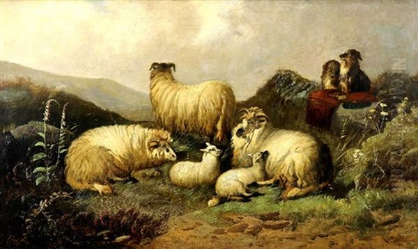 Sheep In The Highlands by William Bright Morris