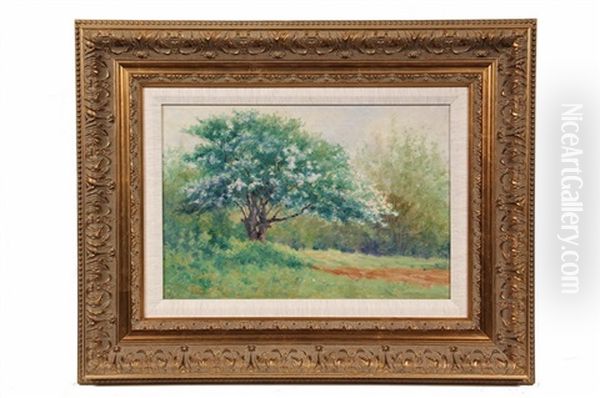 Apple Blossoms, Delano Park Oil Painting by George Frederick Morse