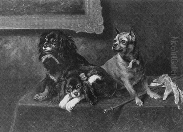 Toy Dogs by Henry Dutton Morse