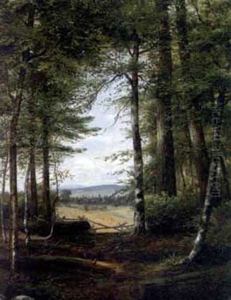 Forest Landscape Clearing Oil Painting by Jonathan Bradley Morse