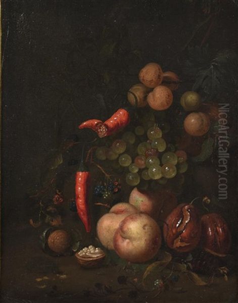 Grapes, Plums, Peaches And Walnuts by Jan Mortel