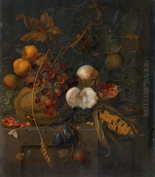 Stillleben Mit Fruchten Und Maiskolben, Schnecken, Schmetterling Und
Libelle Oil Painting by Jan Mortel