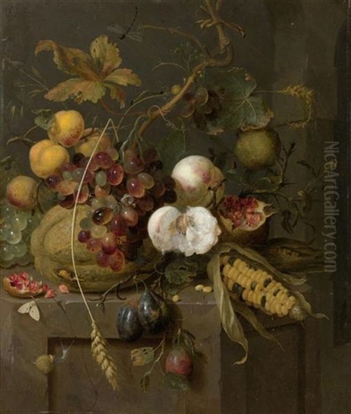 Stilleben Mit Fruchten Und Insekten Oil Painting by Jan Mortel