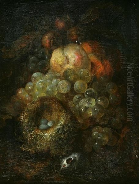 A Still Life With Grapes, A Bird's Nest And A Mouse Oil Painting by Jan Mortel