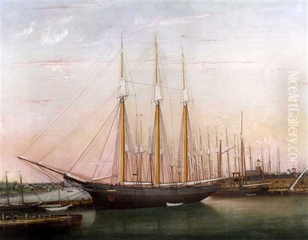 The Schooner 