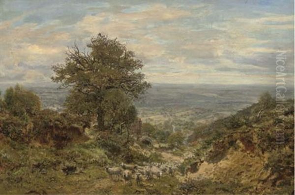 Coneyhurst Hill, Surrey Oil Painting by George William Mote