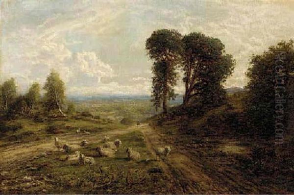 Sheep In An Extensive Landscape Oil Painting by George William Mote