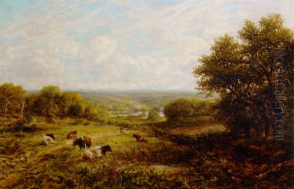 A Rough Field In Surrey by George William Mote