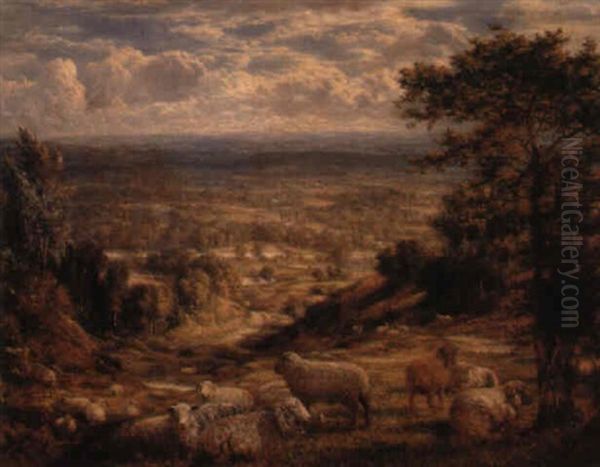 A Summer Landscape With Sheep Oil Painting by George William Mote