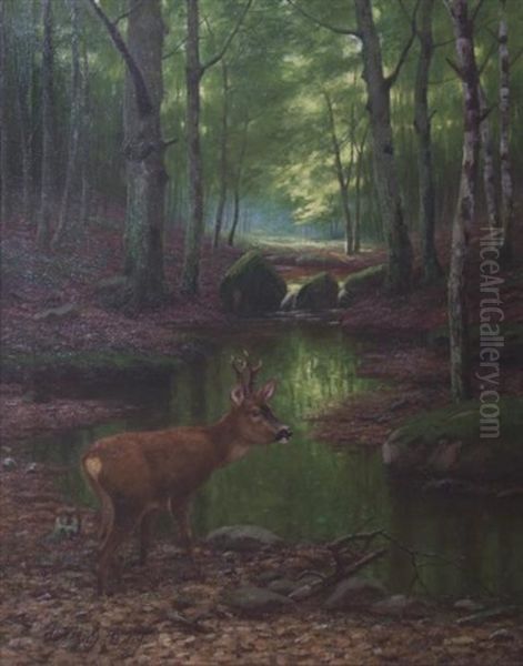 Brocard En Foret Oil Painting by Anton Moetsch