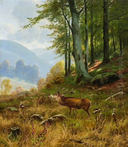 Rohrender Hirsch Auf Lichtung An Einem Sonnigen Morgen Oil Painting by August Moetsch