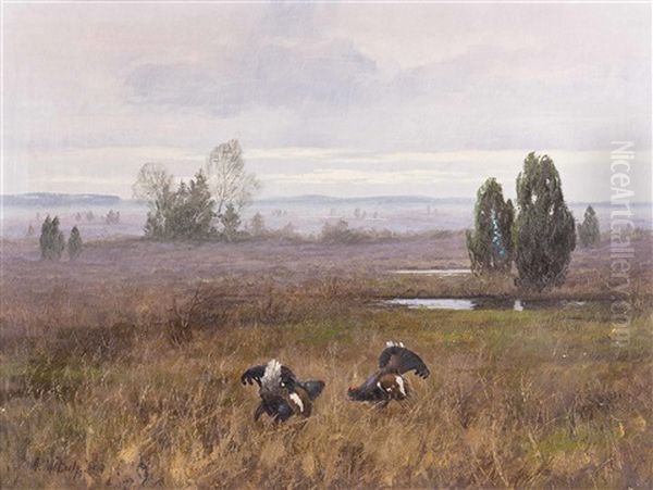 Kampf Zweier Auerhahne Im Moor Oil Painting by August Moetsch