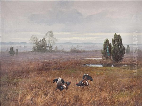 Kampf Zweier Auerhahne Im Moor Oil Painting by August Moetsch