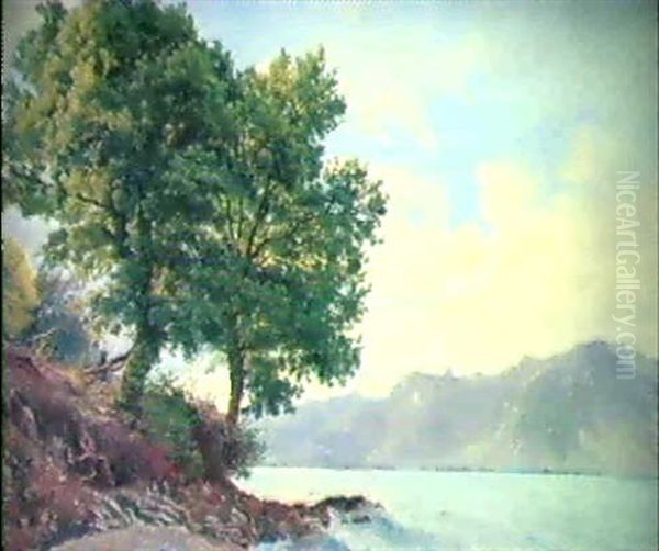 Pres Chillon (genfersee Bei Chillon Mit Blick Auf Die       Savoyer Alpen) Oil Painting by Henri Luc Mottu