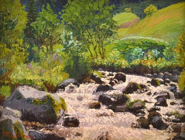 Waterfall, South Of France Oil Painting by Ernest Moulines