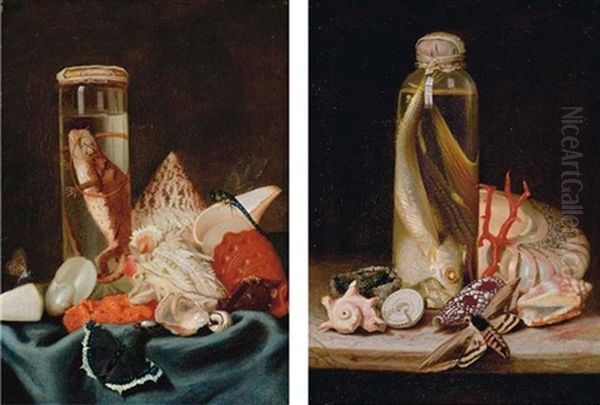 Shells, Butterflies, Insects And A Lizard In A Jar (+ Shells, A Moth, A Bird In A Nest And A Fish In A Jar; Pair) Oil Painting by Etienne Moulinneuf