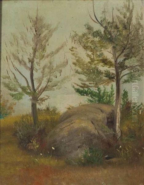 Rock And Trees Oil Painting by William Sidney Mount